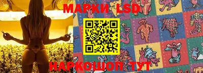 мдпв Пенза