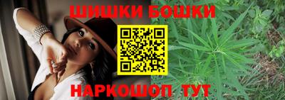 apvp Партизанск
