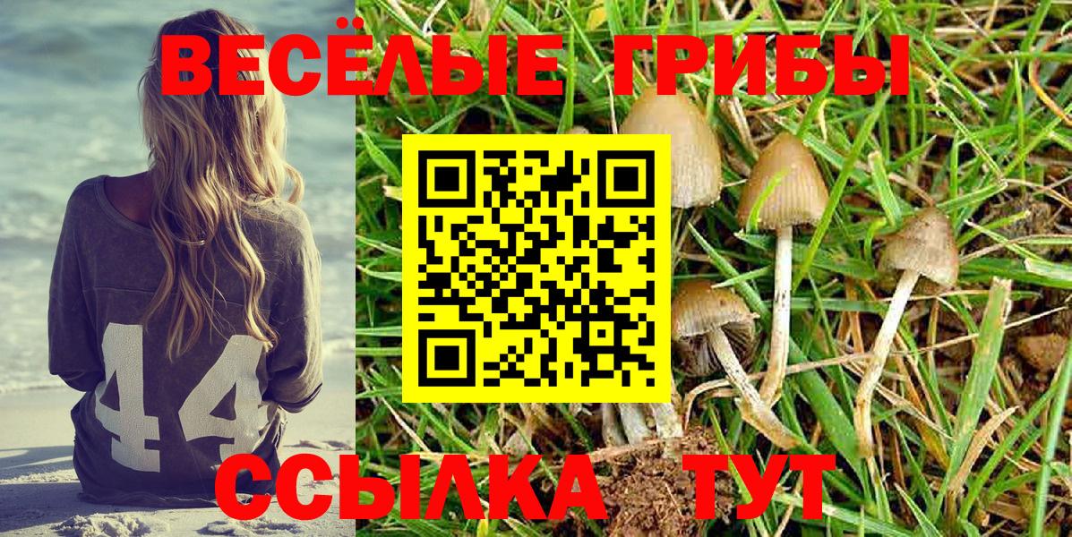Галлюциногенные грибы Psilocybe  Псилоцибиновые грибы GOLDEN TEACHER  Вход с VPN  Сальск 