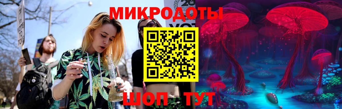 Псилоцибиновые грибы MAGIC MUSHROOMS Сальск